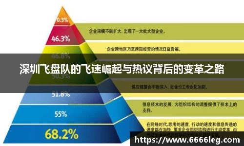 深圳飞盘队的飞速崛起与热议背后的变革之路